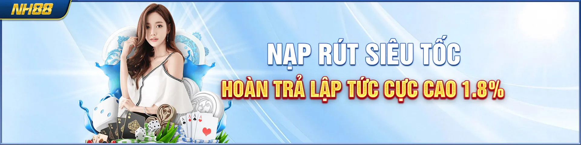 Banner NH88