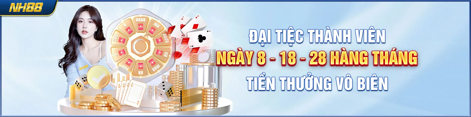 Banner NH88