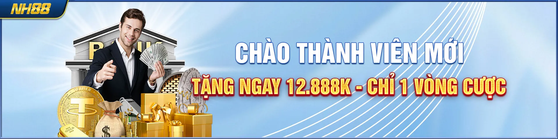 Banner NH88